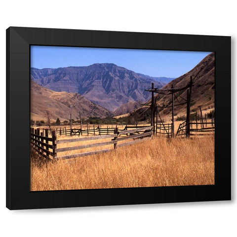 Summer Corral II Black Modern Wood Framed Art Print with Double Matting by Larson, Scott