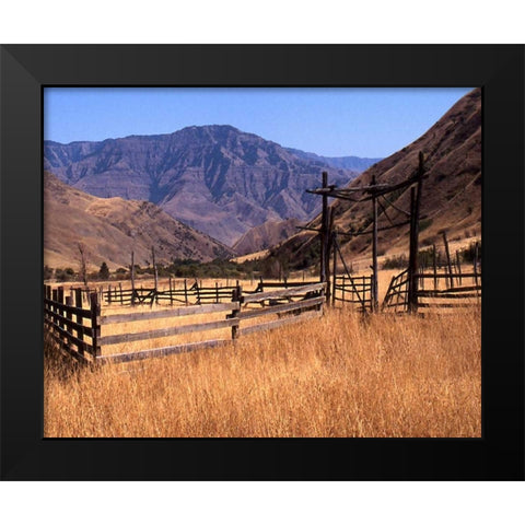 Summer Corral II Black Modern Wood Framed Art Print by Larson, Scott