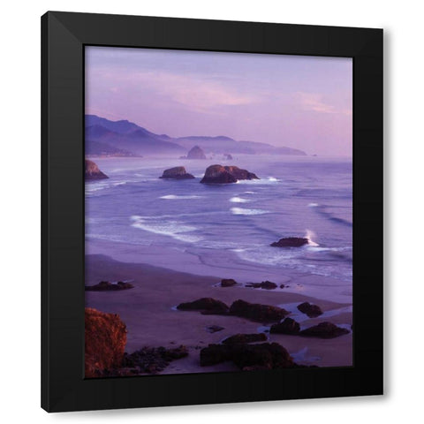 Ecola State Park I Black Modern Wood Framed Art Print with Double Matting by Leahy, Ike