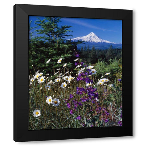 Mt. Hood V Black Modern Wood Framed Art Print by Leahy, Ike
