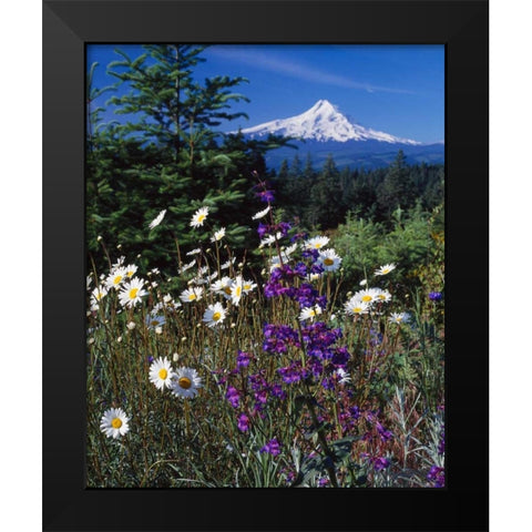Mt. Hood V Black Modern Wood Framed Art Print by Leahy, Ike