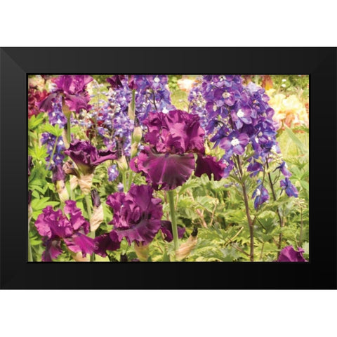 Purple Garden I Black Modern Wood Framed Art Print by Love, Maureen