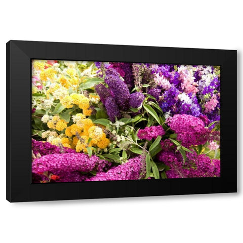 English Summer I Black Modern Wood Framed Art Print by Love, Maureen
