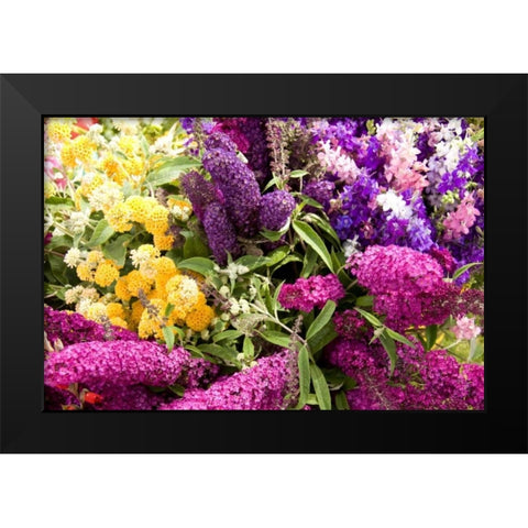 English Summer I Black Modern Wood Framed Art Print by Love, Maureen