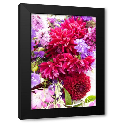 Fuschia Dalhia I Black Modern Wood Framed Art Print by Love, Maureen