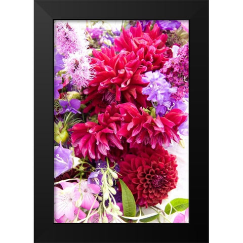 Fuschia Dalhia I Black Modern Wood Framed Art Print by Love, Maureen