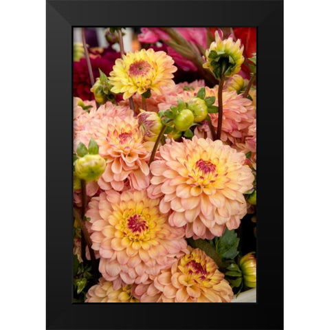 Mauve Dalhia I Black Modern Wood Framed Art Print by Love, Maureen