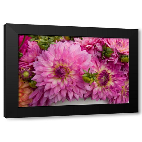Purple Dalhia I Black Modern Wood Framed Art Print by Love, Maureen