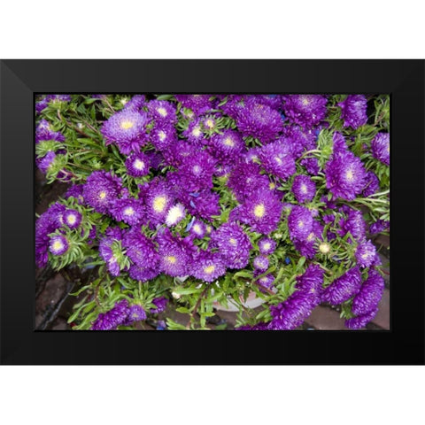 Purple Stars I Black Modern Wood Framed Art Print by Love, Maureen