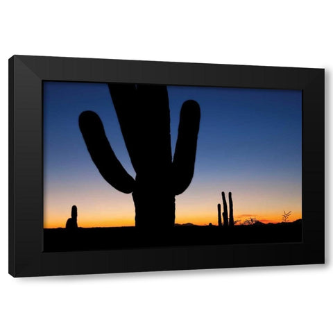 Clear Saguaro Sunset I Black Modern Wood Framed Art Print with Double Matting by Malvin, Larry