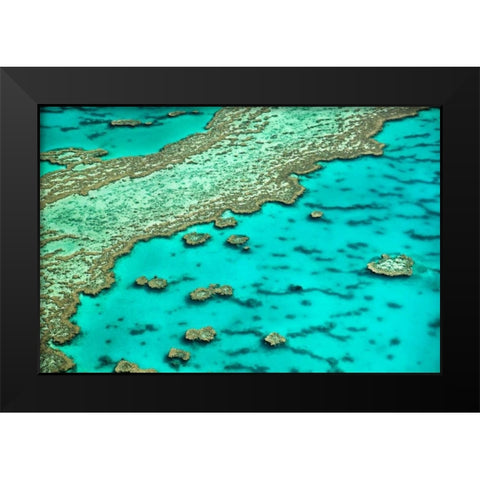 Great Barrier Reef I Black Modern Wood Framed Art Print by Malvin, Larry