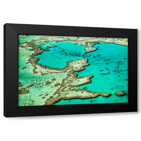 Great Barrier Reef III Black Modern Wood Framed Art Print with Double Matting by Malvin, Larry