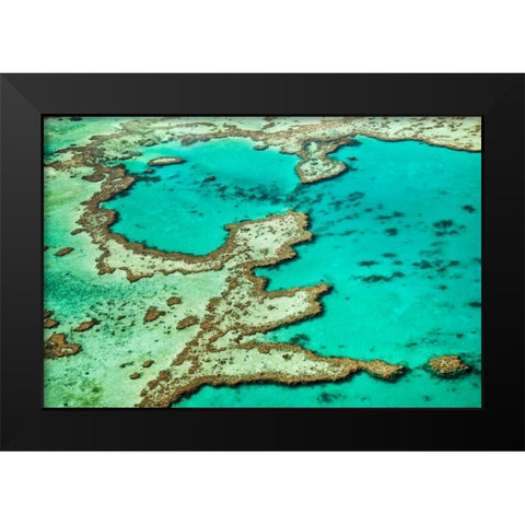 Great Barrier Reef III Black Modern Wood Framed Art Print by Malvin, Larry