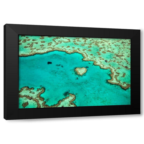 Great Barrier Reef IV Black Modern Wood Framed Art Print with Double Matting by Malvin, Larry