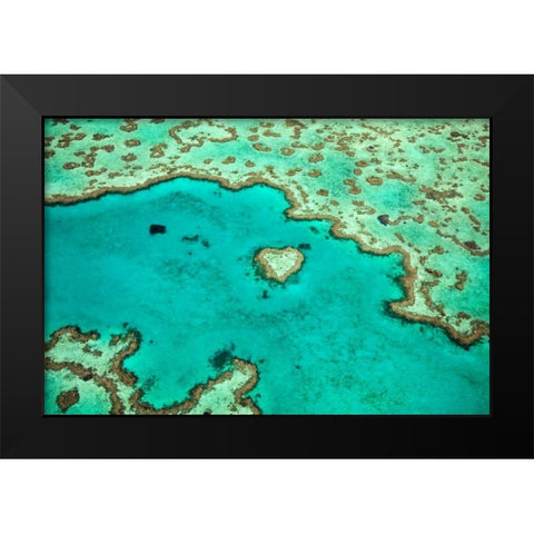 Great Barrier Reef IV Black Modern Wood Framed Art Print by Malvin, Larry