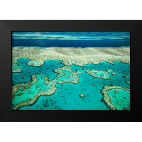 Coral River I Black Modern Wood Framed Art Print by Malvin, Larry