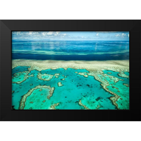 Coral River II Black Modern Wood Framed Art Print by Malvin, Larry