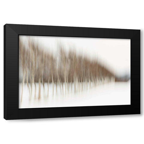Birch Blur I Black Modern Wood Framed Art Print with Double Matting by Malvin, Larry