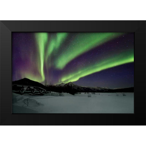Aurora Borealis IV Black Modern Wood Framed Art Print by Malvin, Larry