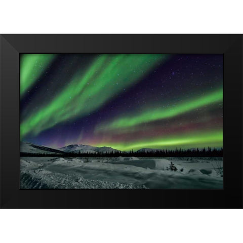 Aurora Borealis V Black Modern Wood Framed Art Print by Malvin, Larry
