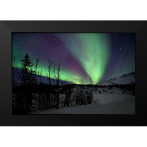 Aurora Borealis VII Black Modern Wood Framed Art Print by Malvin, Larry