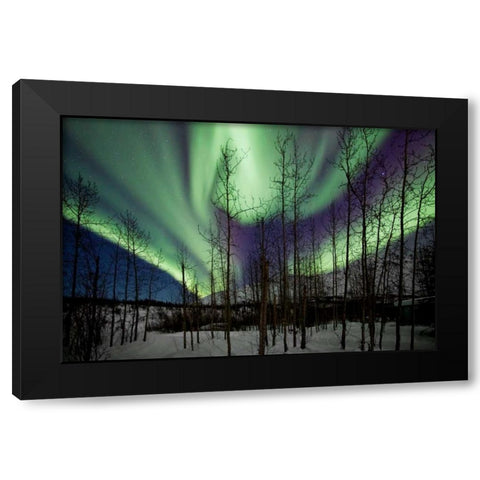 Aurora Borealis IX Black Modern Wood Framed Art Print with Double Matting by Malvin, Larry