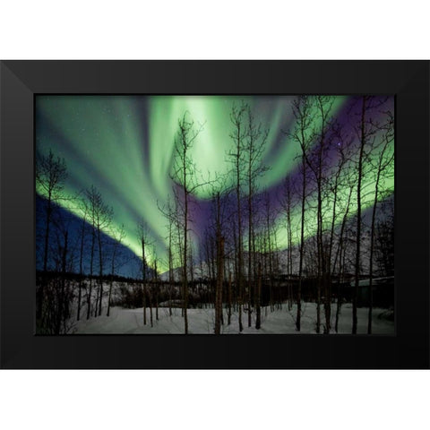 Aurora Borealis IX Black Modern Wood Framed Art Print by Malvin, Larry