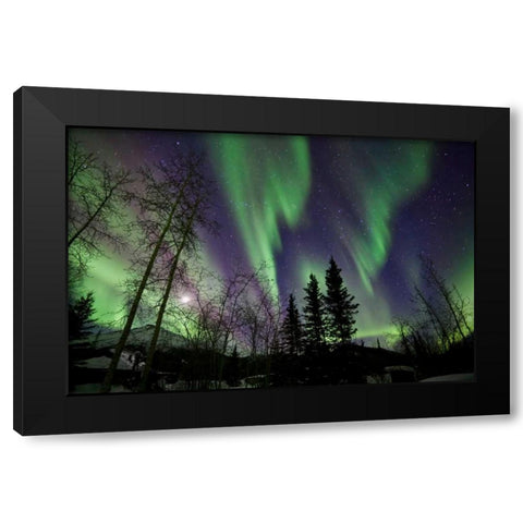 Aurora Borealis X Black Modern Wood Framed Art Print with Double Matting by Malvin, Larry