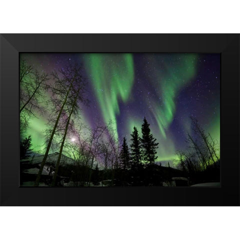 Aurora Borealis X Black Modern Wood Framed Art Print by Malvin, Larry