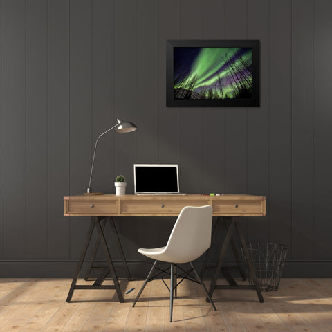 Aurora Borealis XI Black Modern Wood Framed Art Print by Malvin, Larry