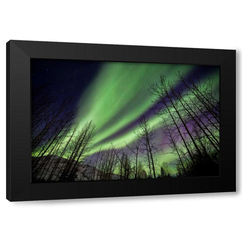 Aurora Borealis XI Black Modern Wood Framed Art Print with Double Matting by Malvin, Larry