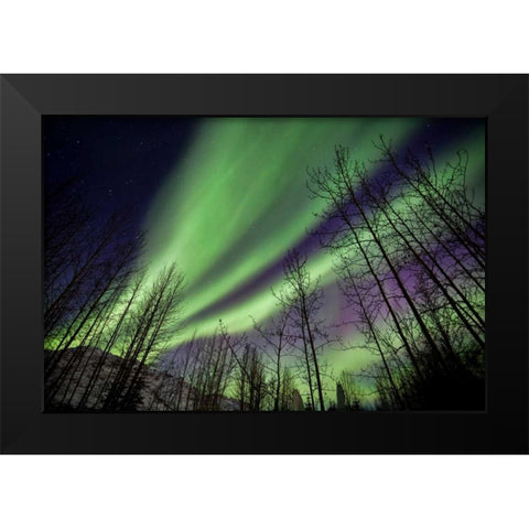 Aurora Borealis XI Black Modern Wood Framed Art Print by Malvin, Larry