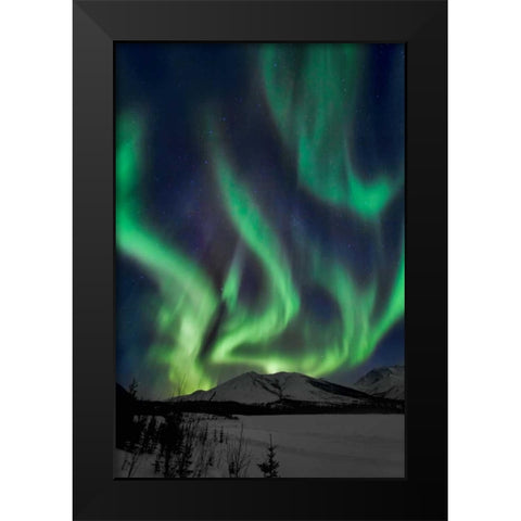 Aurora Borealis XIV Black Modern Wood Framed Art Print by Malvin, Larry