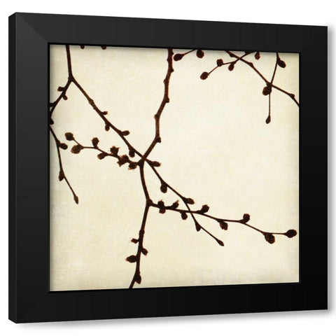 Branches I Black Modern Wood Framed Art Print with Double Matting by Melious, Amy