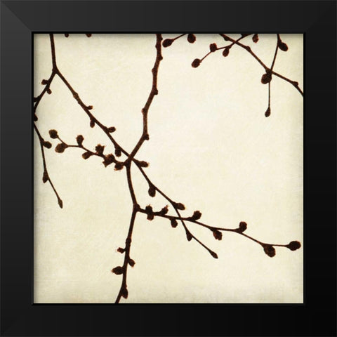 Branches I Black Modern Wood Framed Art Print by Melious, Amy