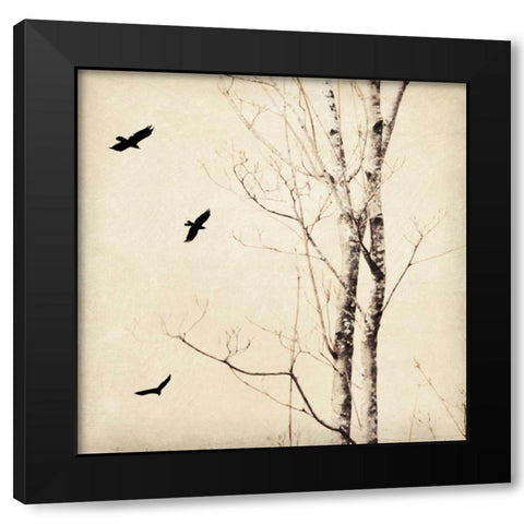 In Flight II Black Modern Wood Framed Art Print with Double Matting by Melious, Amy