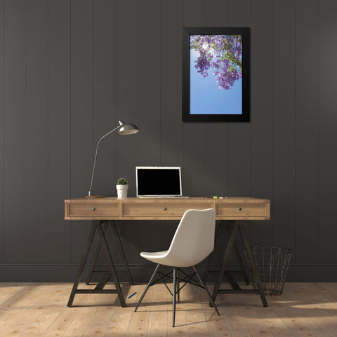 Jacaranda Tree I Black Modern Wood Framed Art Print by Mahan, Kathy