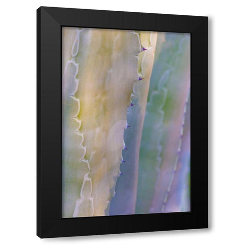 Agave I Black Modern Wood Framed Art Print by Mahan, Kathy