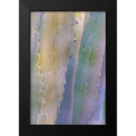 Agave I Black Modern Wood Framed Art Print by Mahan, Kathy
