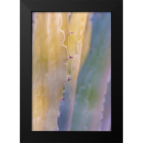 Agave II Black Modern Wood Framed Art Print by Mahan, Kathy