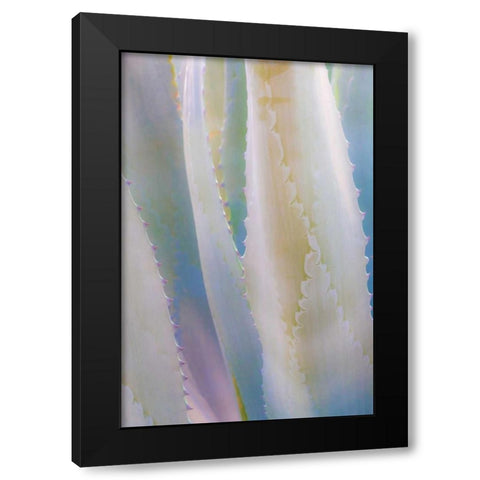 Agave IV Black Modern Wood Framed Art Print by Mahan, Kathy