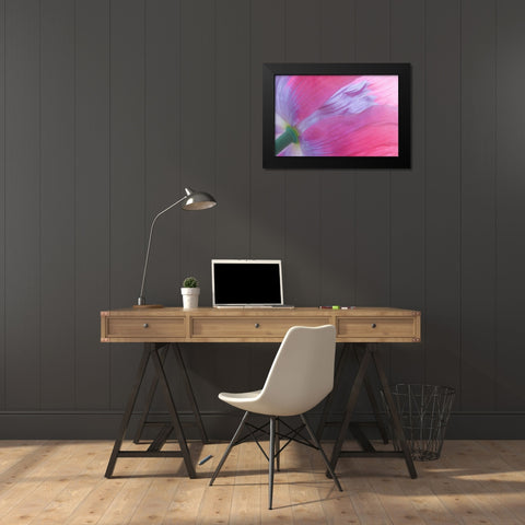 Pink Poppy I Black Modern Wood Framed Art Print by Mahan, Kathy