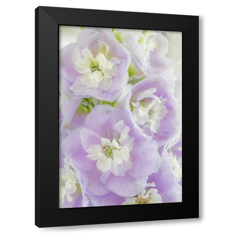 Delphinium Blossoms I Black Modern Wood Framed Art Print by Mahan, Kathy