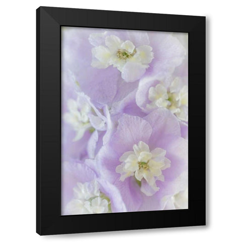 Delphinium Blossoms II Black Modern Wood Framed Art Print by Mahan, Kathy