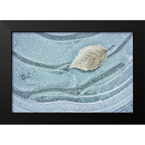 Frosty Leaf on Ice II Black Modern Wood Framed Art Print by Mahan, Kathy