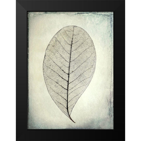 Skeletonized leaf Black Modern Wood Framed Art Print by Mahan, Kathy