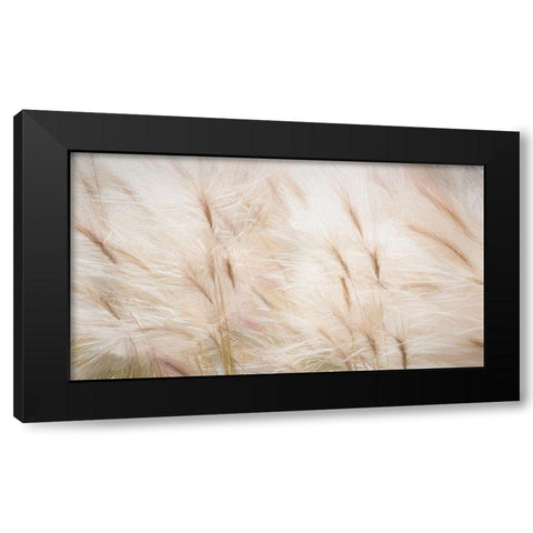 Foxtail Barley III Black Modern Wood Framed Art Print by Mahan, Kathy