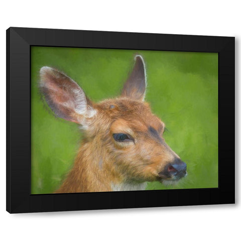 Blacktail Deer I Black Modern Wood Framed Art Print by Mahan, Kathy