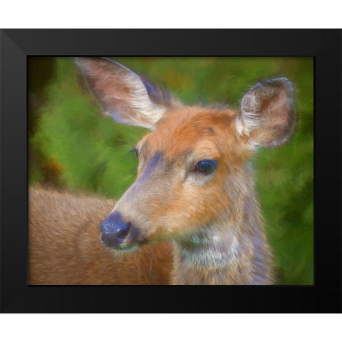 Blacktail Deer II Black Modern Wood Framed Art Print by Mahan, Kathy