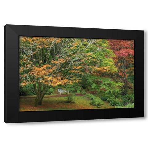 Garden Path Black Modern Wood Framed Art Print with Double Matting by Mahan, Kathy